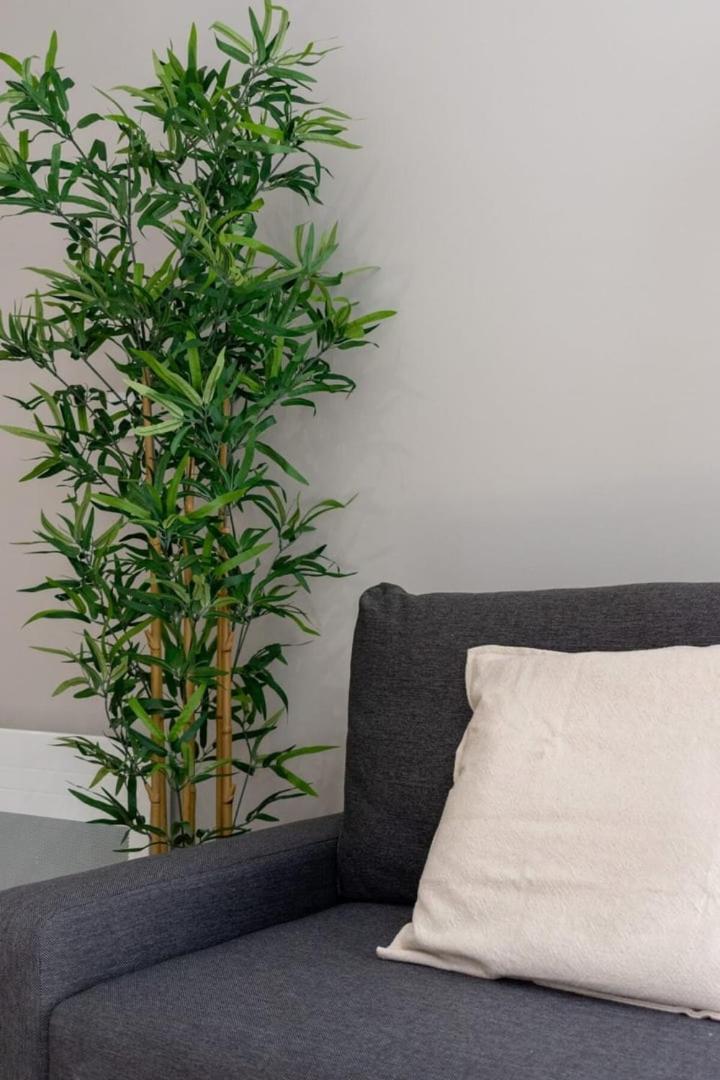 Hypercentre -Apartment In Pedestrian Zone ลีลล์ ภายนอก รูปภาพ
